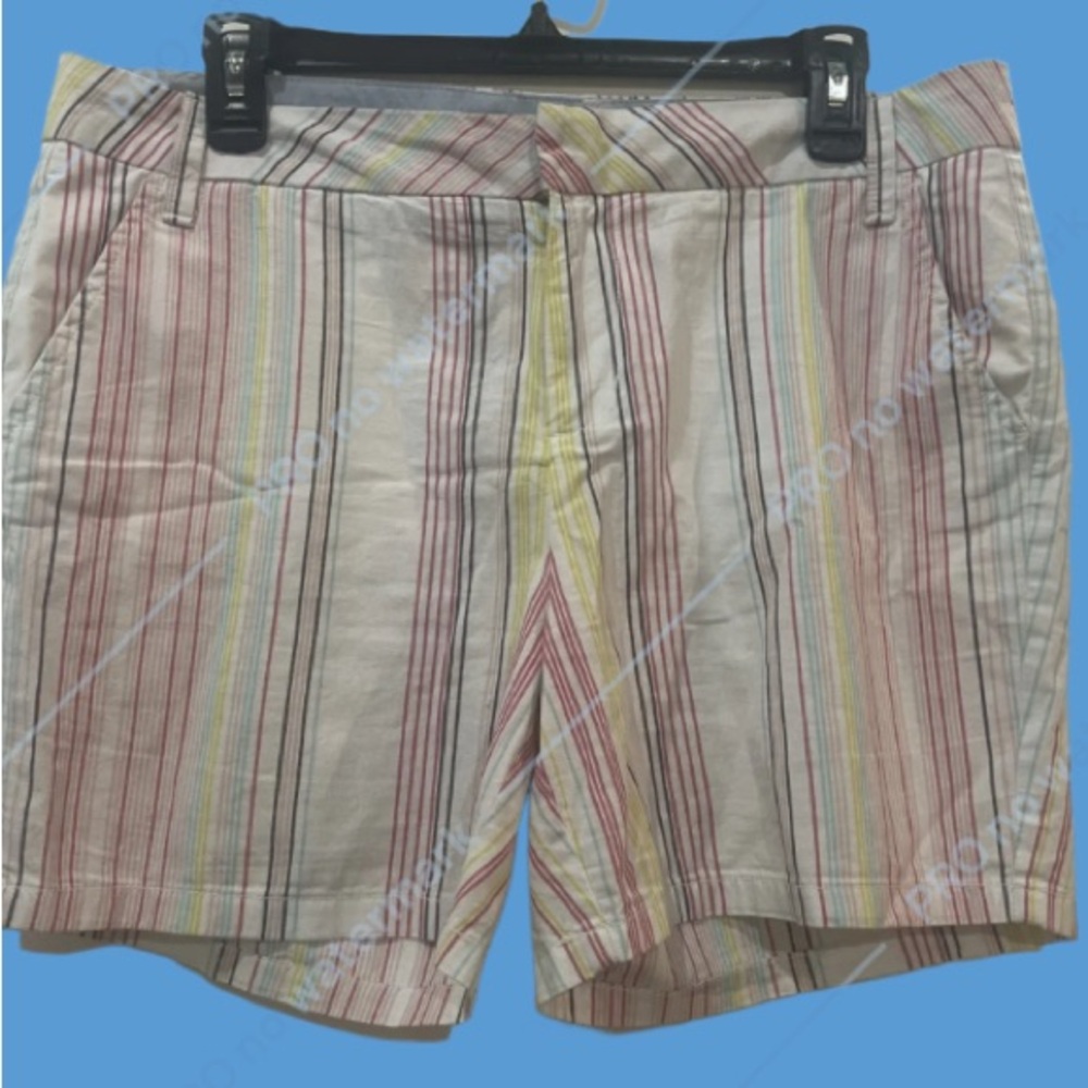 Multicolor Striped Casual Shorts